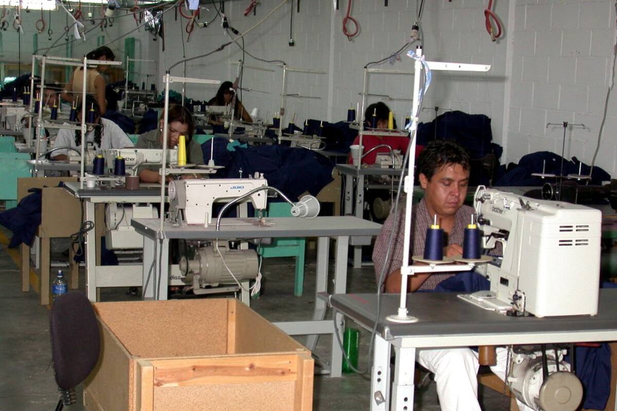 "Pese a crisis, se han recuperado 66 mil empleos en agosto": AMLO