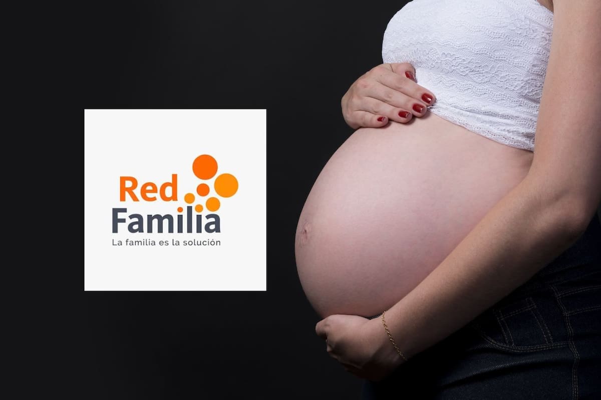 Especialistas y Red Familia piden al Congreso prohibir la gestación subrogada en México y analizar su tipificación como trata de personas