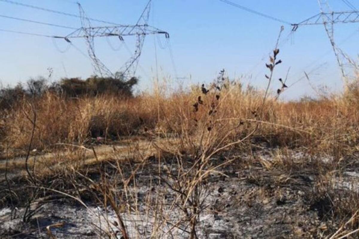 CFE: Tamaulipas presenta denuncia por documentos apócrifos