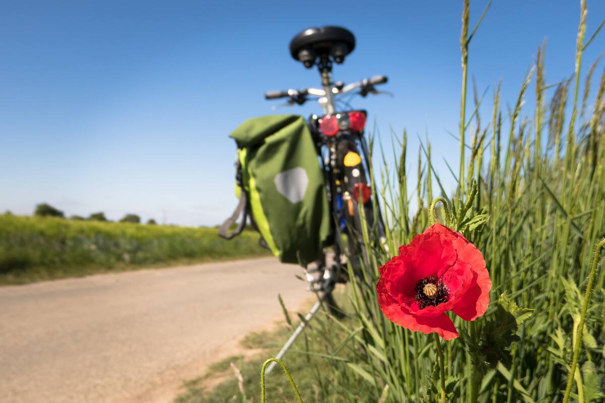 Muere ciclista al ser impactado por un tráiler