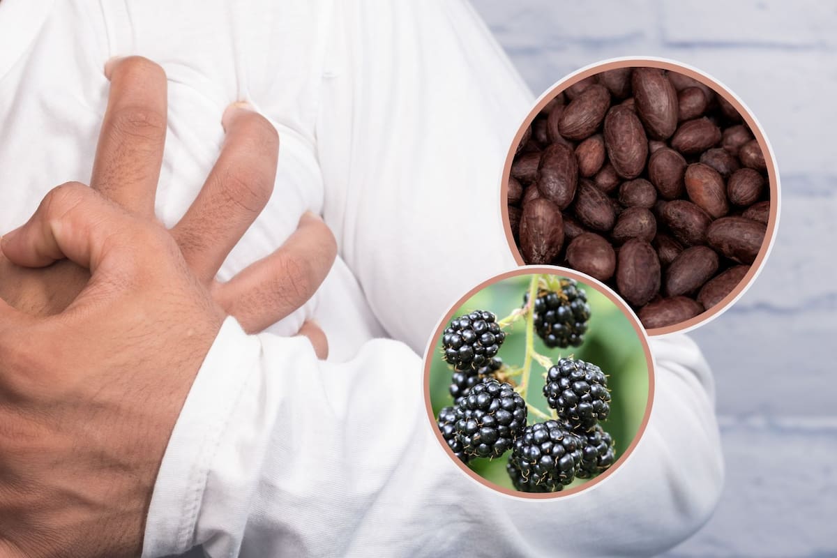 ¿Pasas horas sentado? Estos son los dos alimentos que los expertos recomiendan para cuidar tu corazón