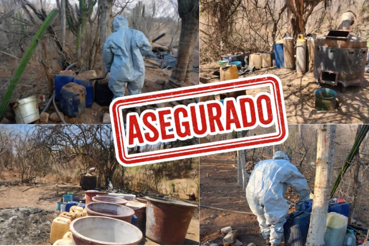 Aseguran laboratorio inactivo y sustancias químicas en Culiacán durante operativo federal
