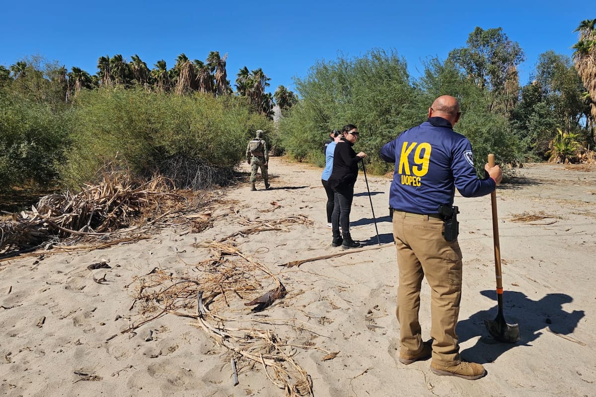 Realizan búsqueda de indicios de personas desaparecidas en San Felipe