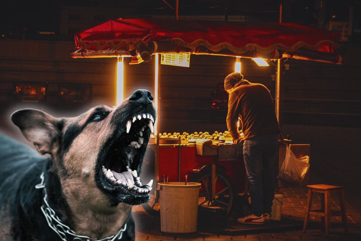 Dueño de restaurante que servía carne de perros y gatos muere por rabia: ¿Qué sucedió?