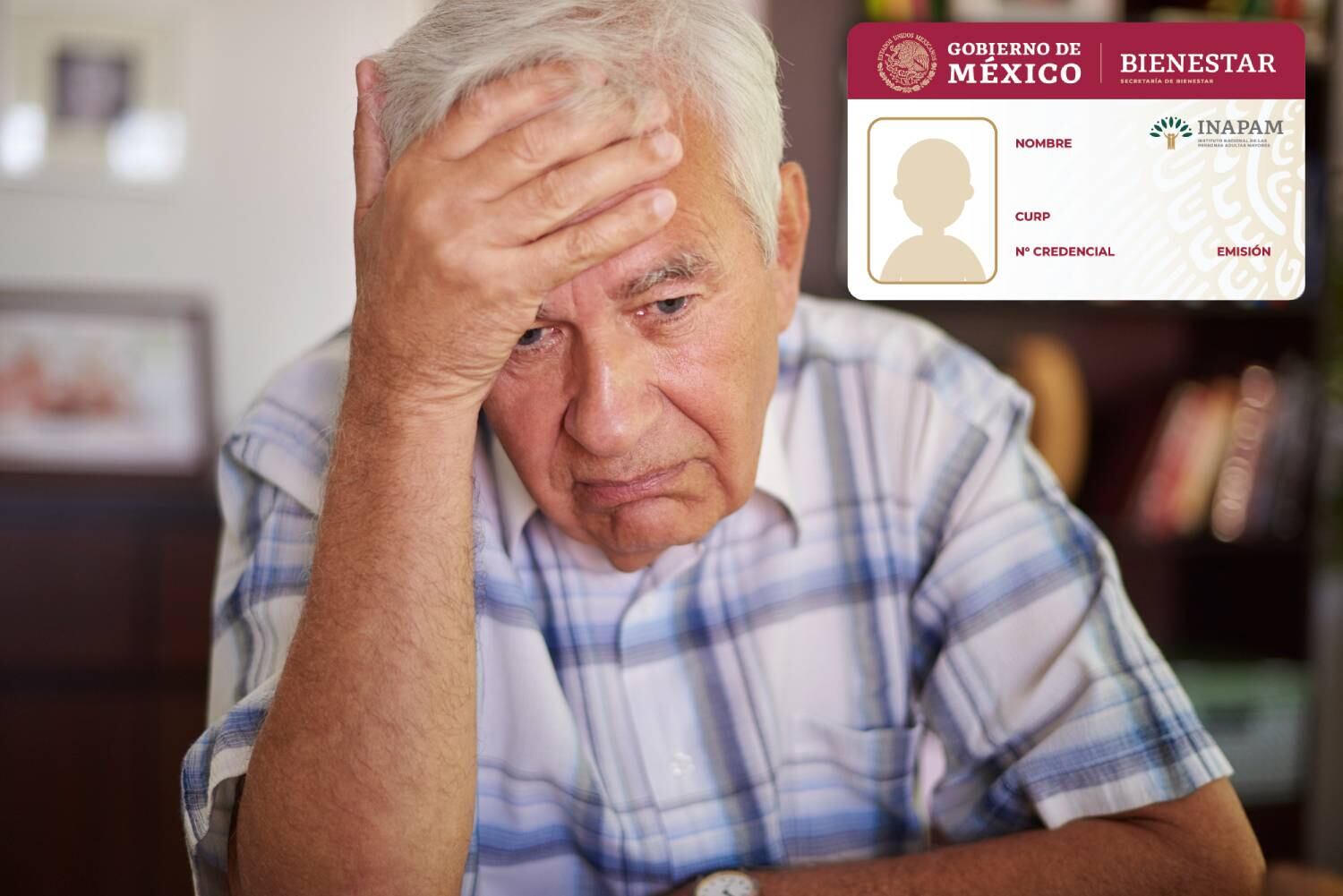 La tarjeta del INAPAM es un documento oficial para personas mayores de 60 años que, además de servir como identificación, brinda una amplia variedad de descuentos y beneficios en sectores públicos y privados.