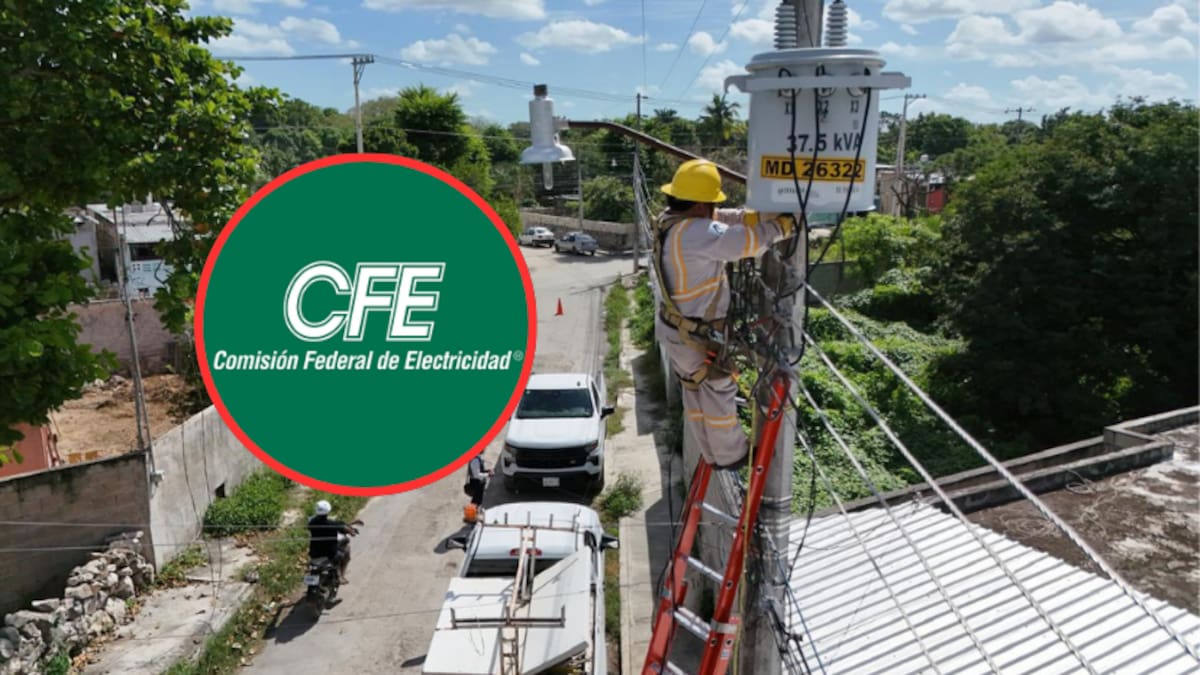 Foto: Comisión Federal de Electricidad.