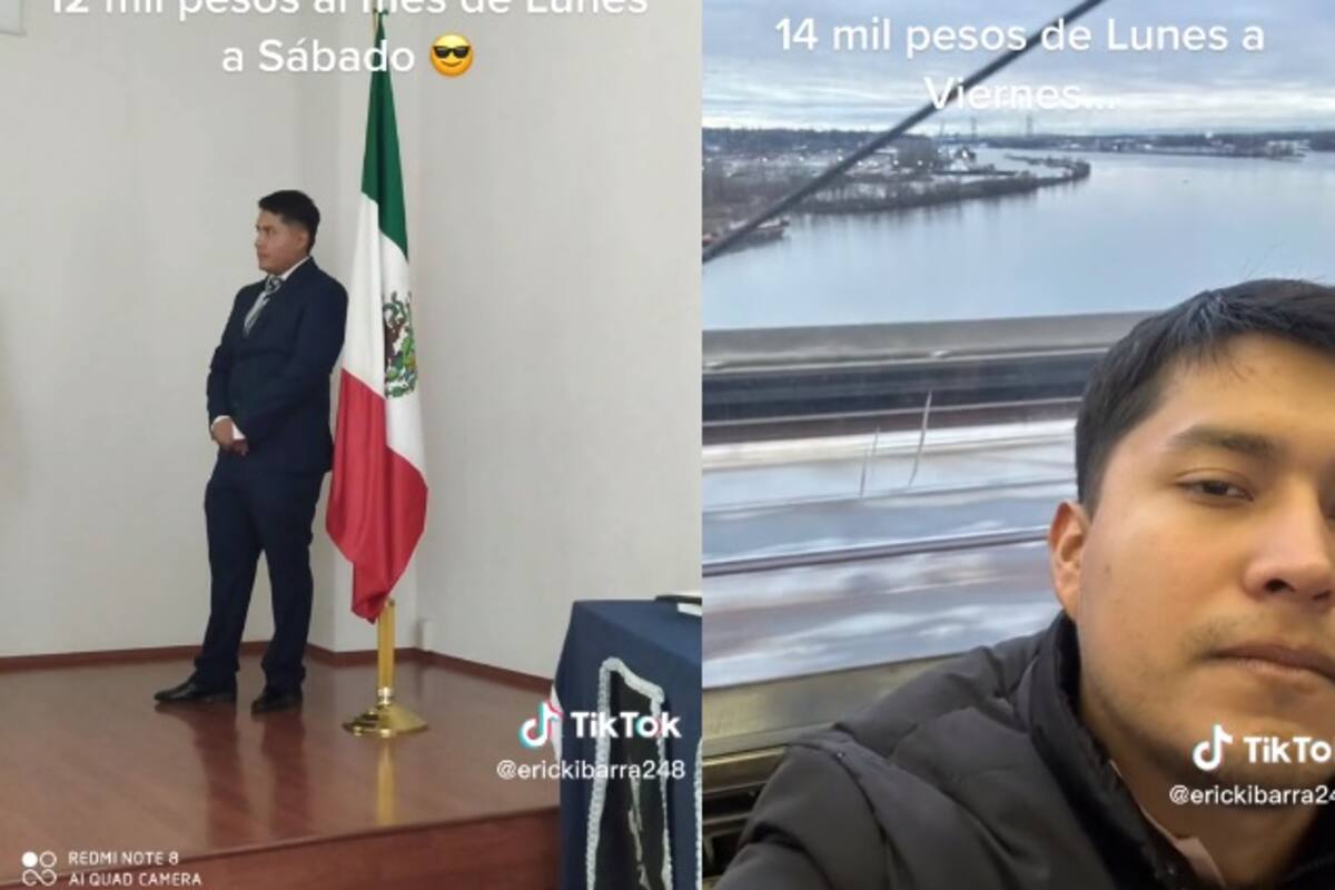 Se va a Canadá y le pagan más vendiendo pollos que como ingeniero en México