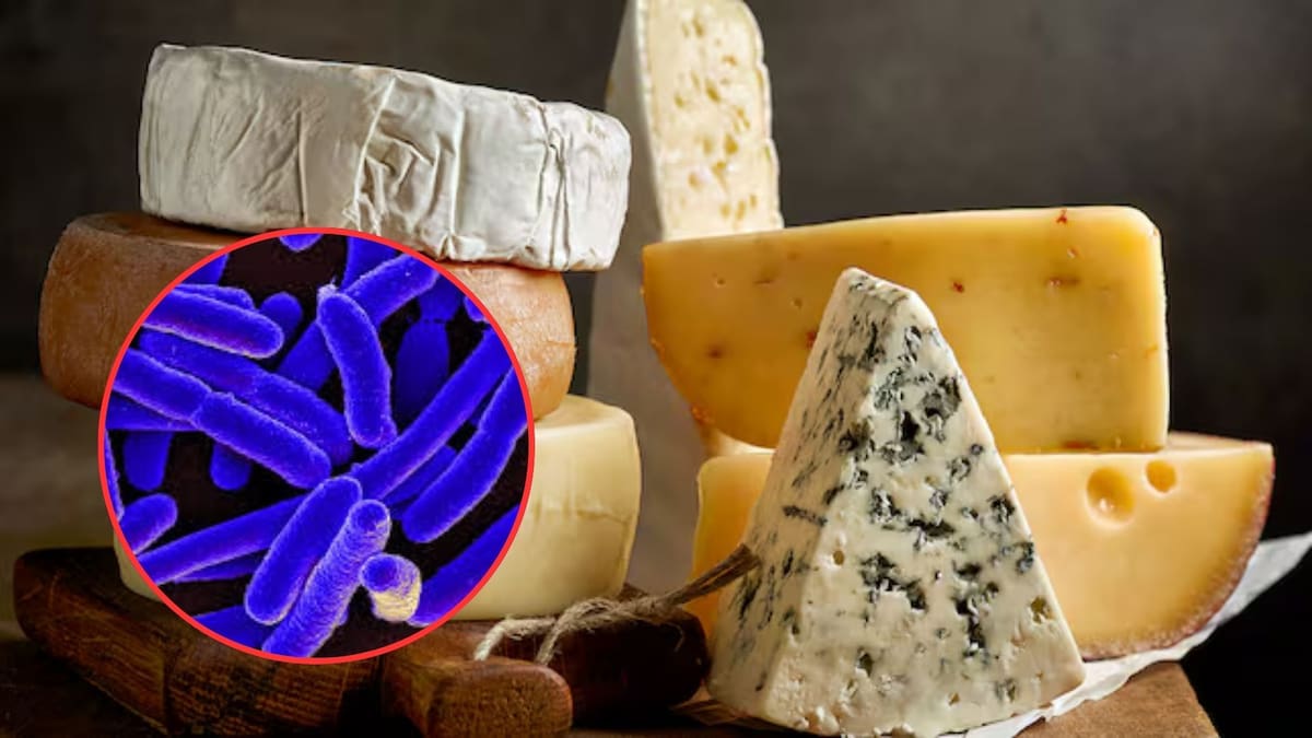 Autoridades sanitarias de Estados Unidos ordenan retiro voluntario de varios lotes de quesos artesanales Twin Sisters Creamery tras confirmarse presencia de E. coli productora de toxina Shiga que provocó hospitalizaciones en Washington y Oregón