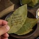 Para qué sirve escribir un deseo o una cantidad de dinero en una hoja de laurel y cuál es el origen de la tradición asociada con la abundancia