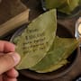 Para qué sirve escribir un deseo o una cantidad de dinero en una hoja de laurel y cuál es el origen de la tradición asociada con la abundancia