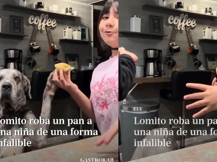 “El perro: matanga dijo la changa”: lomito se hace viral al robarle un pan directamente de la mano a su dueña