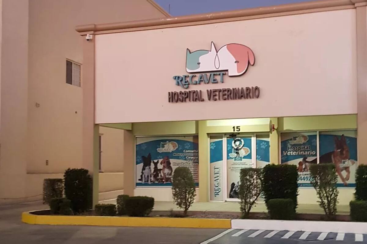 Hizo “pisa y corre” con todo  y su mascota en veterinaria