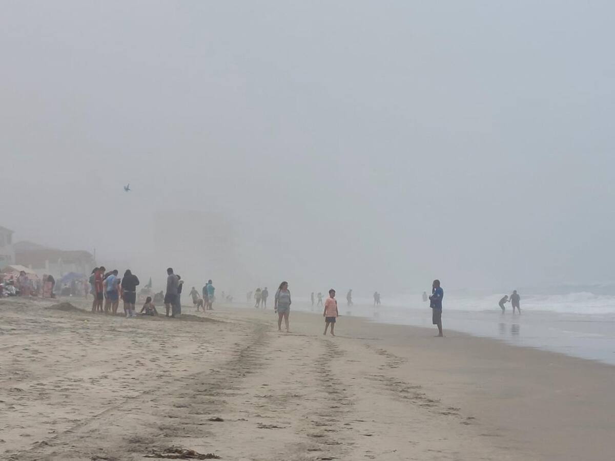 Foto: Carmen Gutiérrez