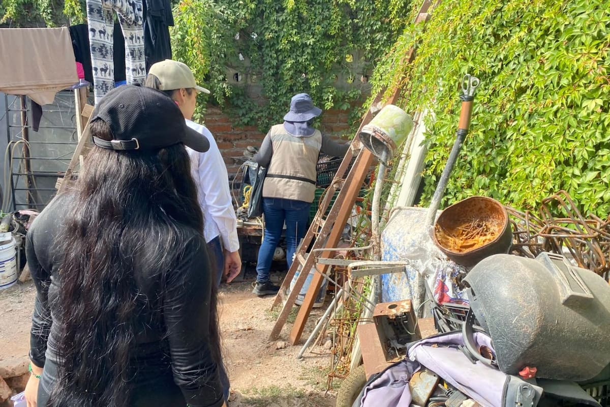 Cajeme enfrenta repunte de dengue por regreso del serotipo 3: por qué este tipo específico del virus preocupa a las autoridades