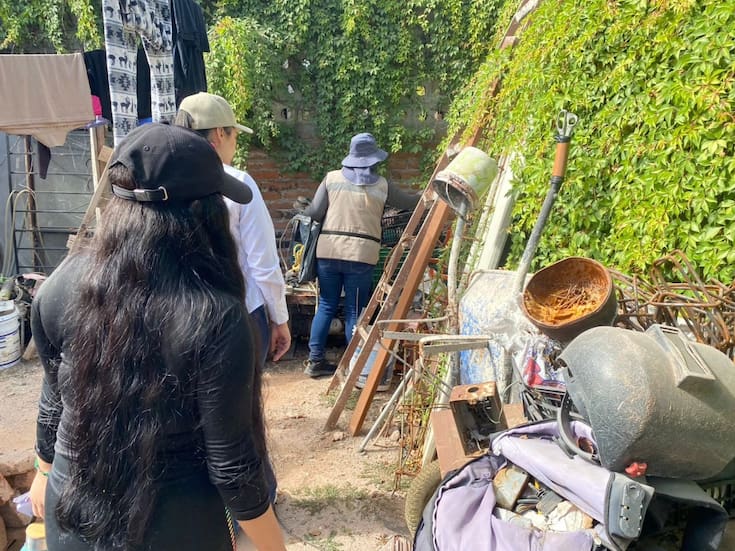 Cajeme enfrenta repunte de dengue por regreso del serotipo 3: por qué este tipo específico del virus preocupa a las autoridades