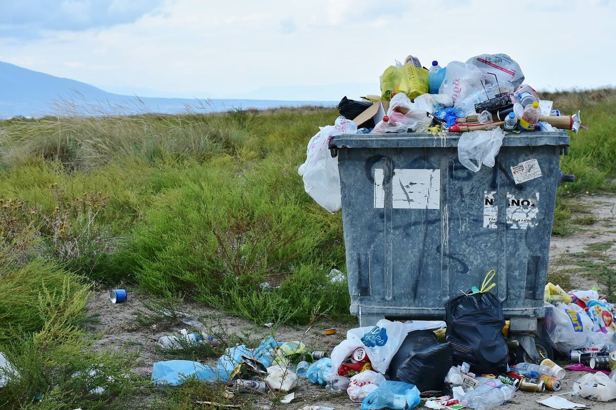 Científicos descubren un gusano que se come el plástico