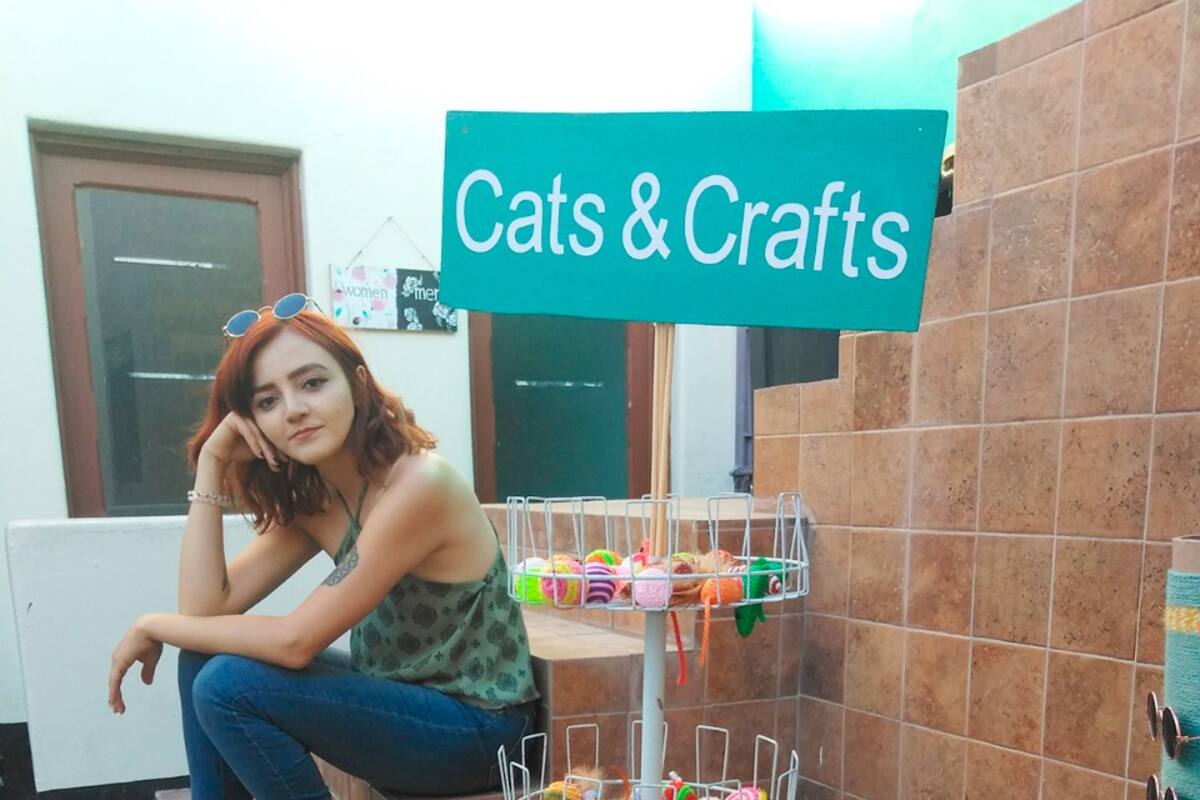 Cindya decidió no quedarse encerrada y emprendió su negocio elaborando casas ecológicas para gatos