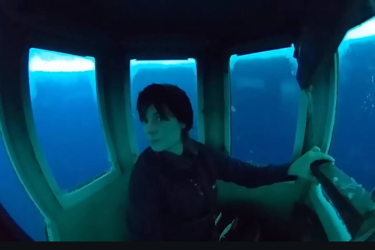 Descubren observatorio marino en la Antártida: Una ventana al mundo submarino