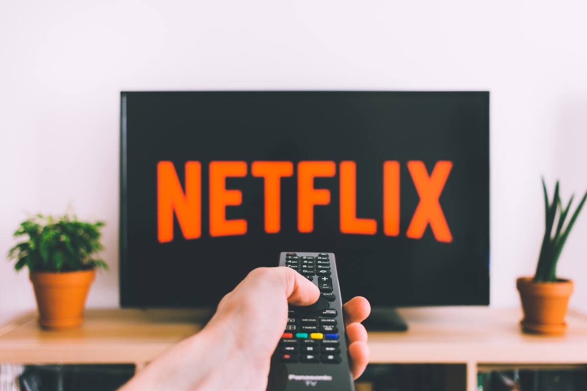 Última llamada: Películas y series que dejarán Netflix en febrero