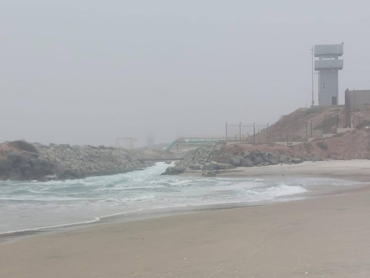 Foto: Carmen Gutiérrez