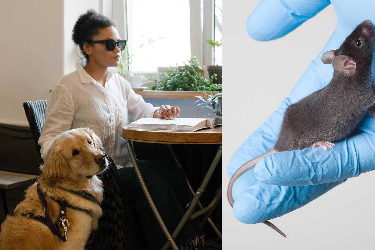 Efemérides del 24 de abril: ¿Qué pasó un día como hoy?