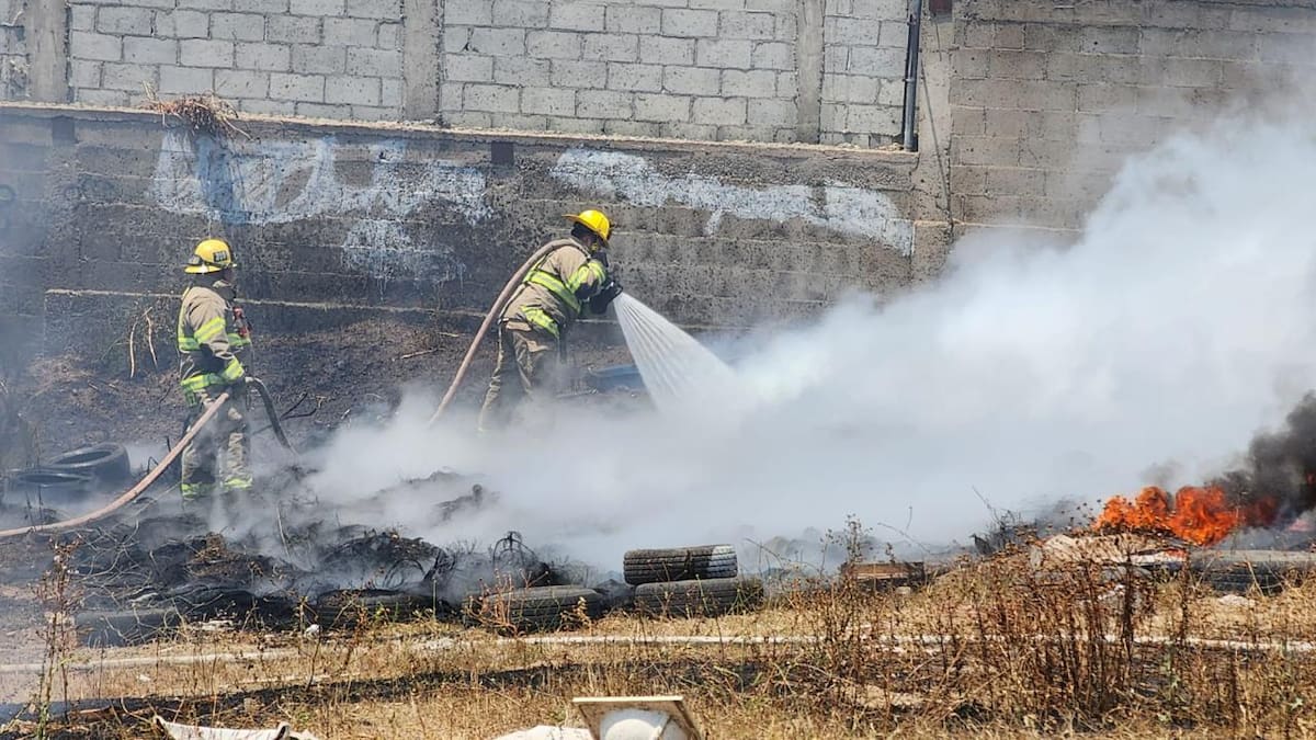 Bomberos advierte mayor riesgo de incendios por aumento de maleza tras las lluvias