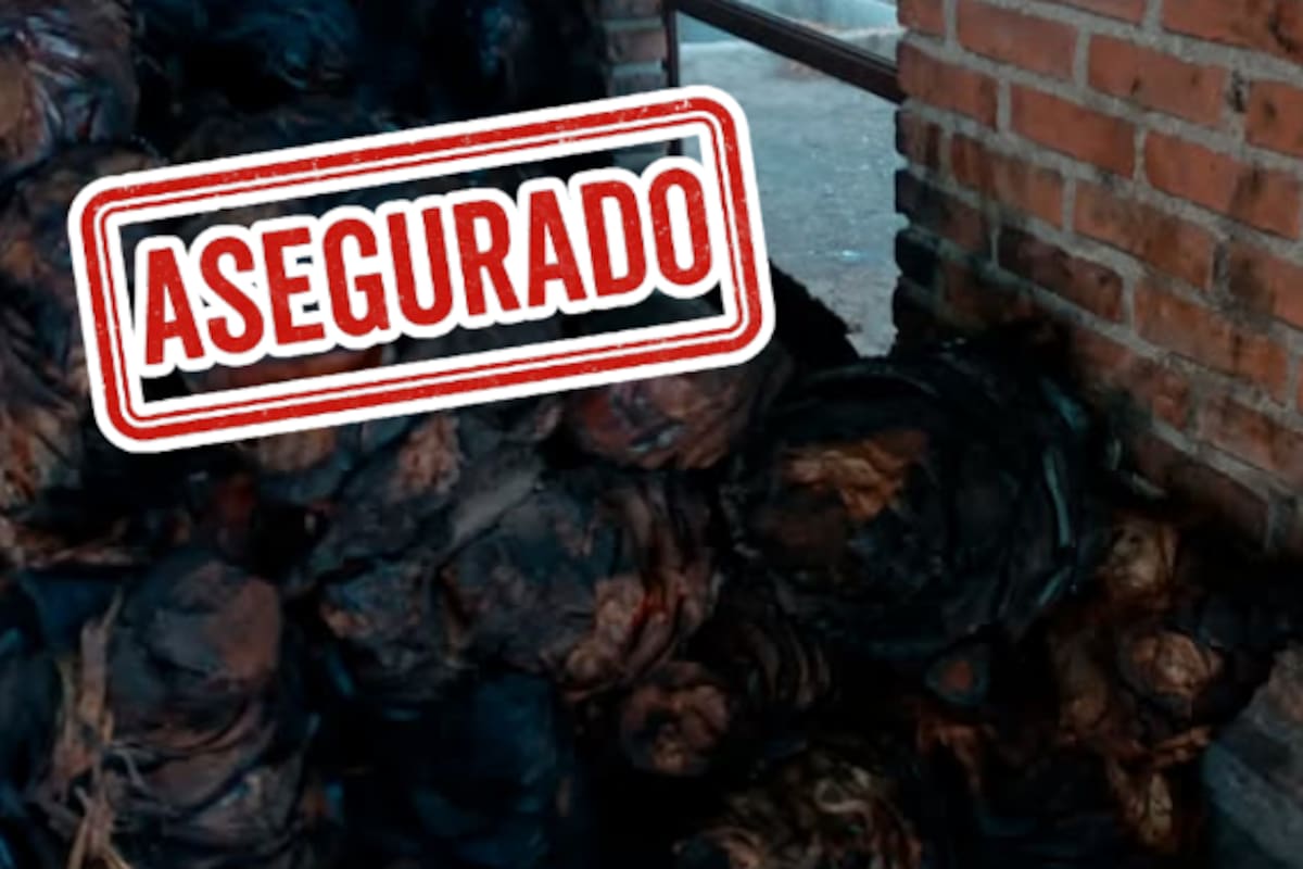 Profepa decomisa casi 9 toneladas de piñas mezcaleras en Durango de dudosa procedencia