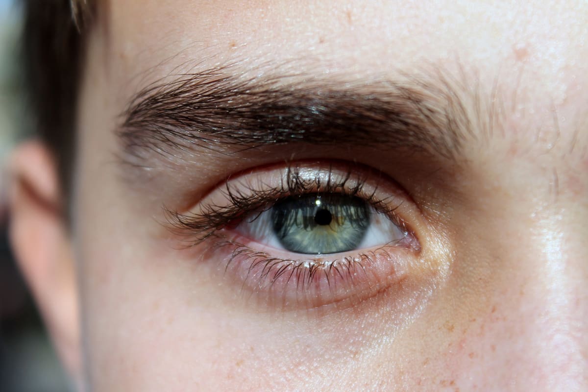 Tendrá UABC un Banco de Tejidos