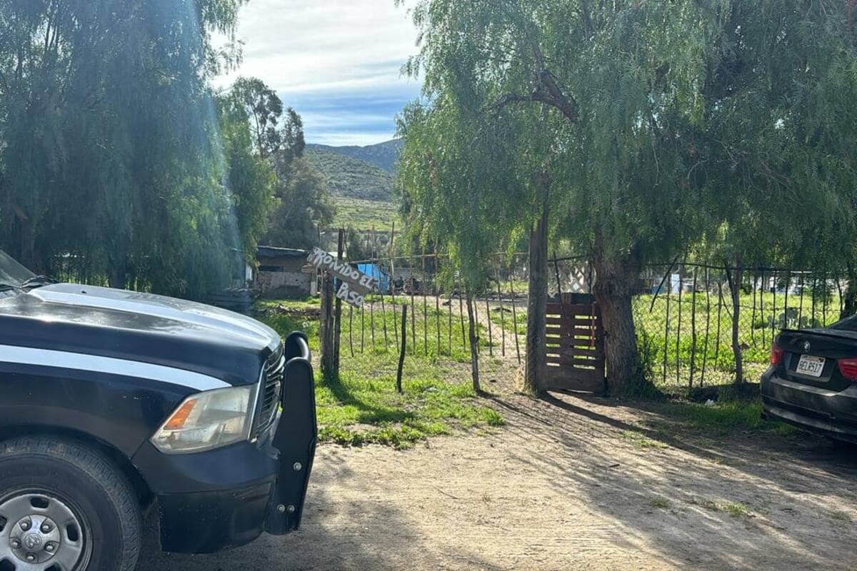 Investigan muerte de cinco personas en Francisco Zarco