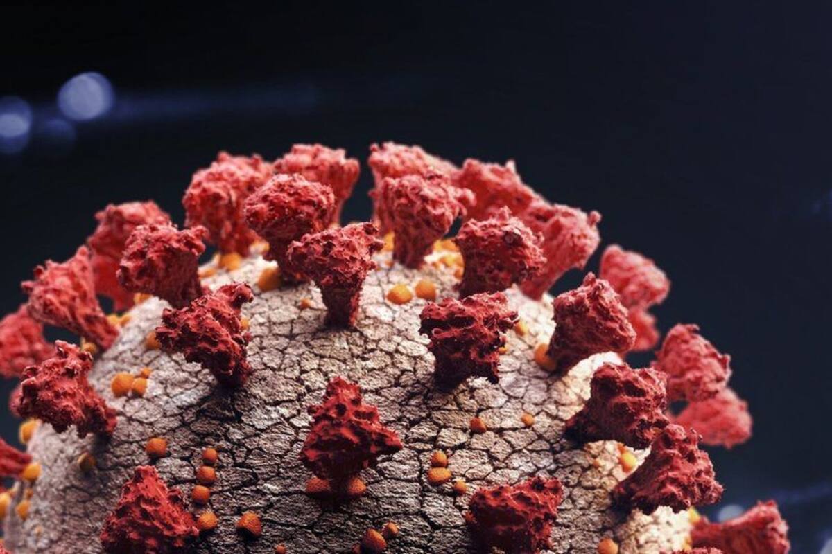 B.1.1.529: por qué causa preocupación la variante del coronavirus altamente mutada hallada en Sudáfrica