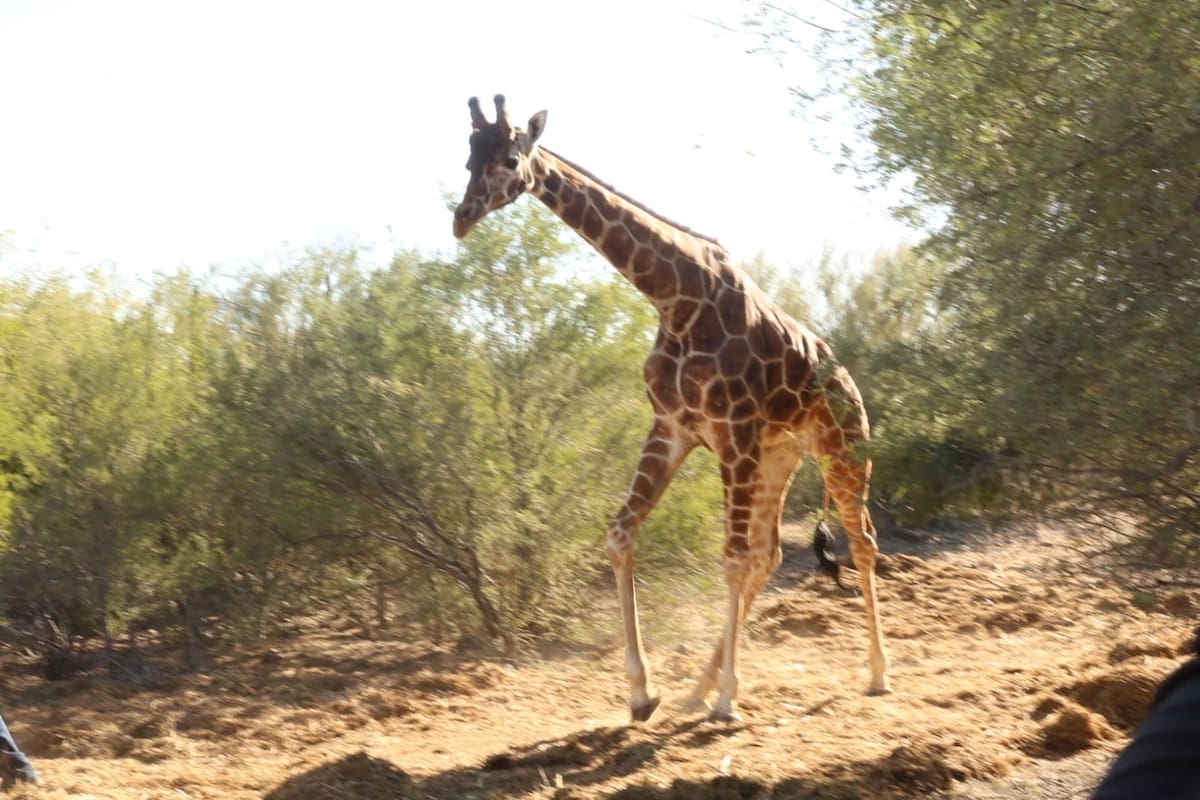 Foto: Teodoro Borbón.