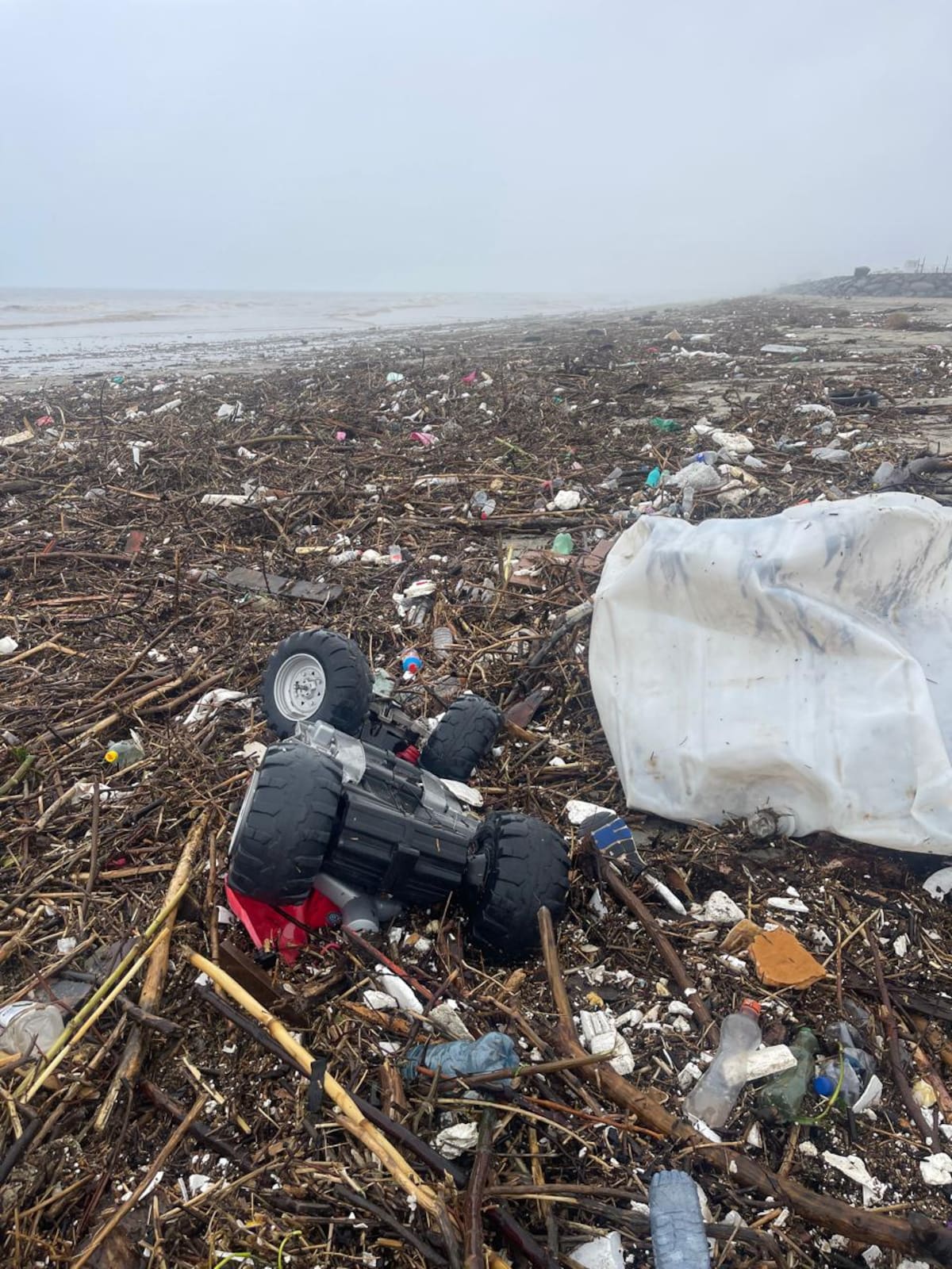 Foto: Carmen Gutiérrez