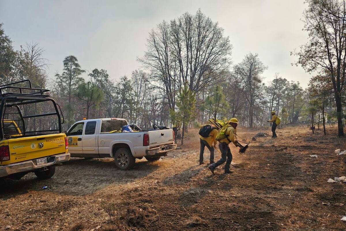 Incendios forestales en Yécora arrasan más de 620 hectáreas