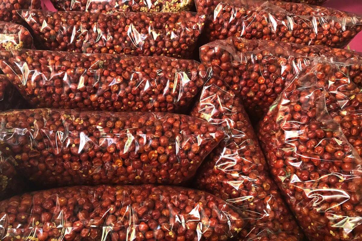 Localizan parte de la tonelada de chiltepín robado en colonia Centenario