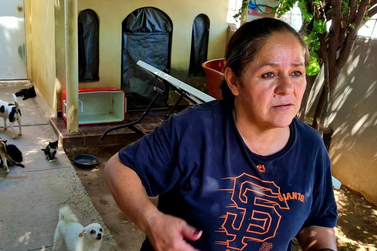 Doña Luz denunciará envenenamiento de perros en la colonia Villa Verde