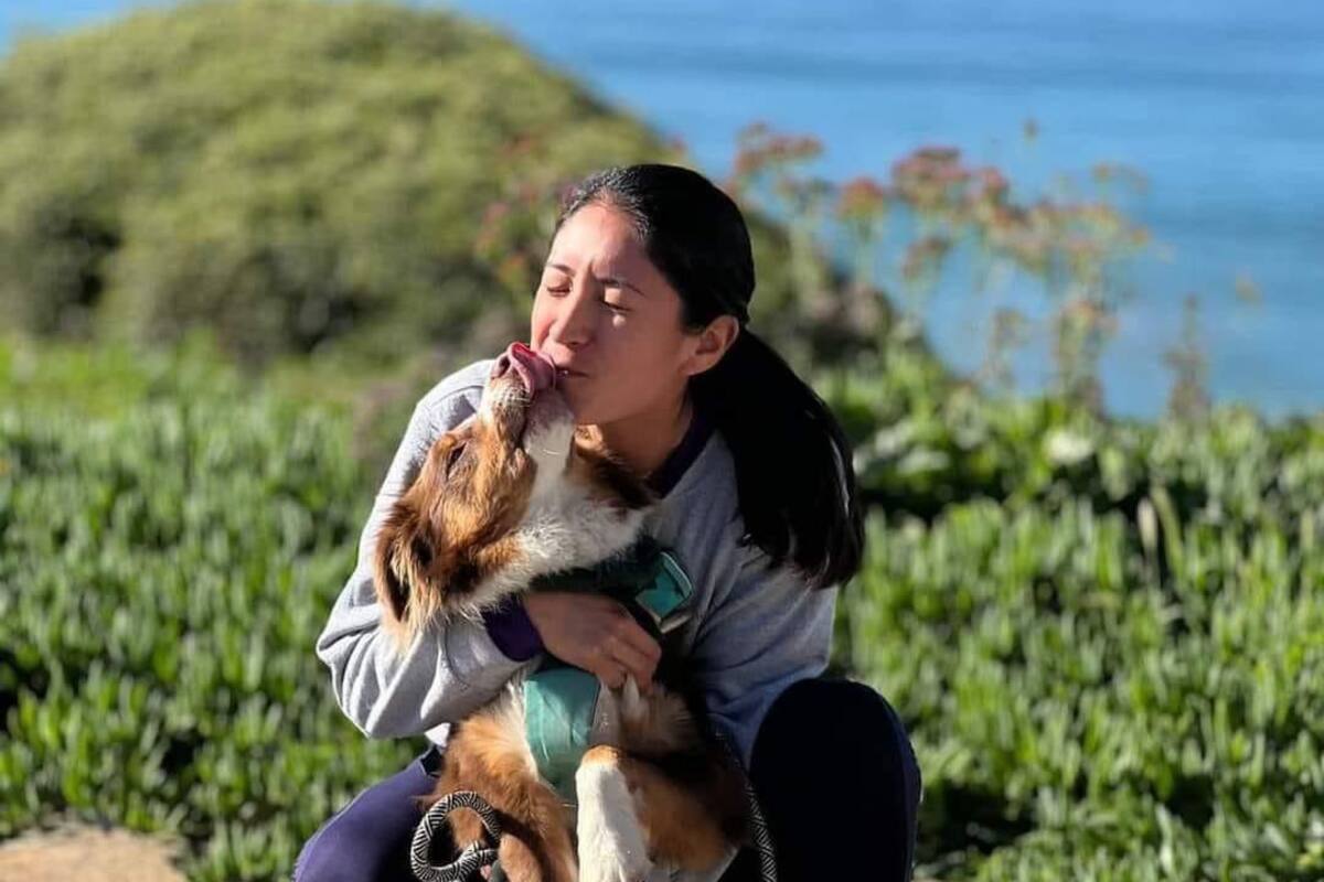 Regresa con su dueña, la perrita Kata