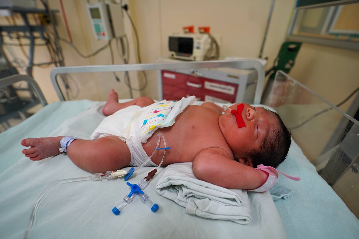 Jesús, el primer bebé navideño