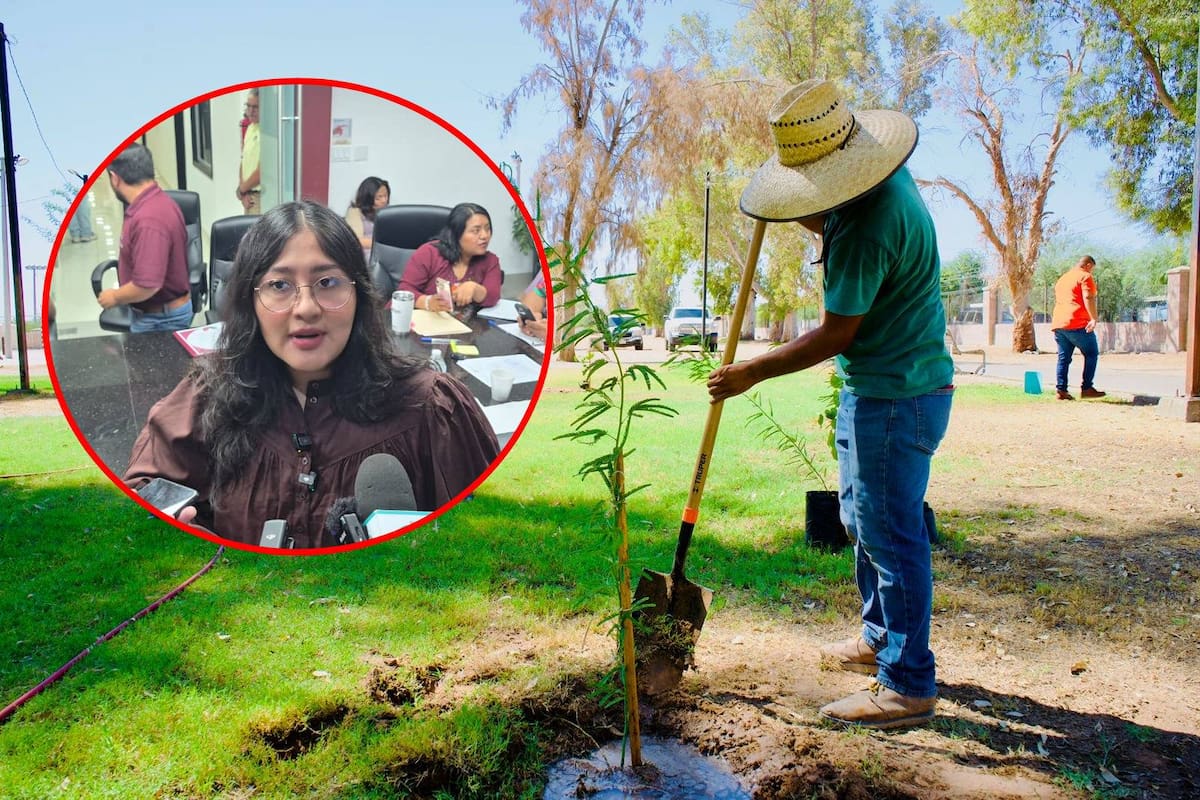 Un Mexicali con más árboles y menos calor; plantean nueva reforma para crear más áreas verdes y reducir el impacto de las temperaturas extremas