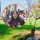 Un Mexicali con más árboles y menos calor; plantean nueva reforma para crear más áreas verdes y reducir el impacto de las temperaturas extremas