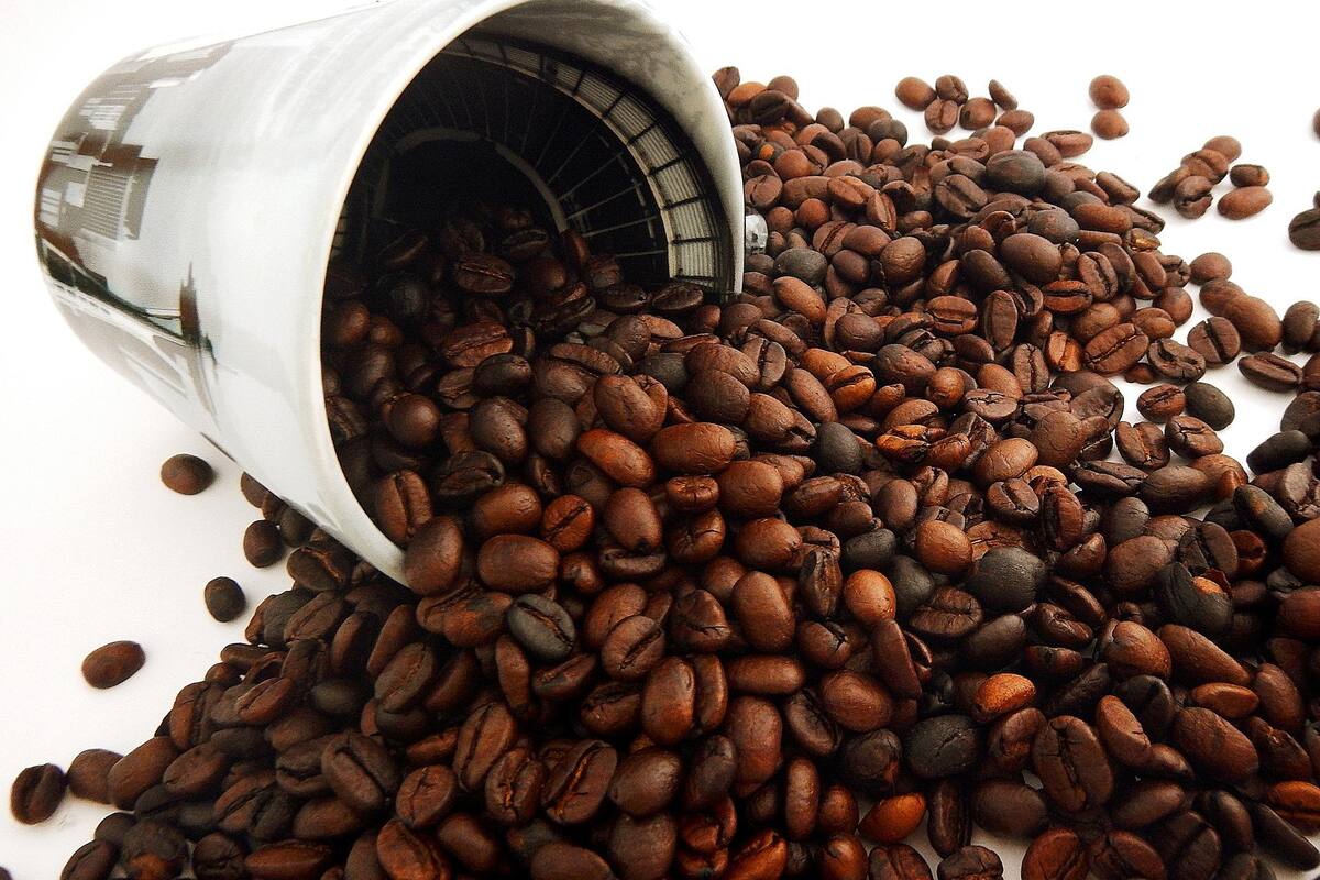 Café mexicano está entre los mejores del mundo