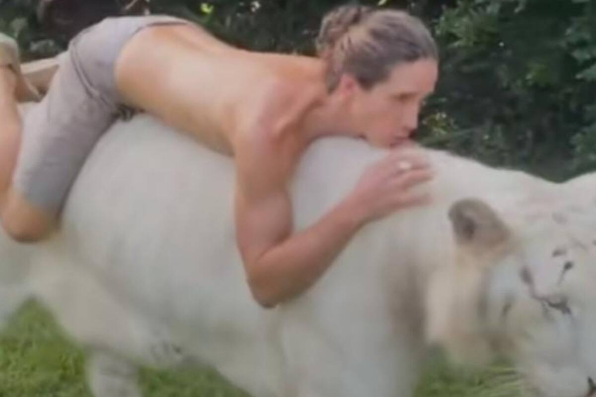 Monta a un tigre blanco para grabar TikTok; se hace viral