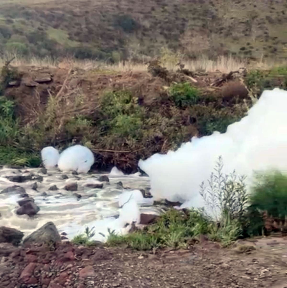 La contaminación en el Cañón Rosarito sigue haciendo brecha.