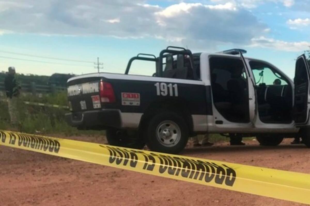 Nogales: Buscaban leña y encontraron un muerto