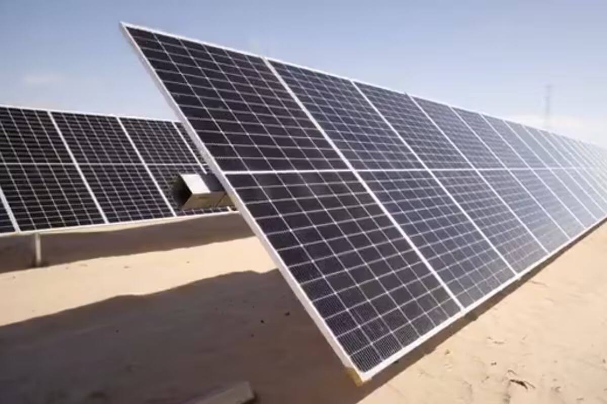 El 15% de la energía que se distribuye en BC es renovable: Gutierrez Ley