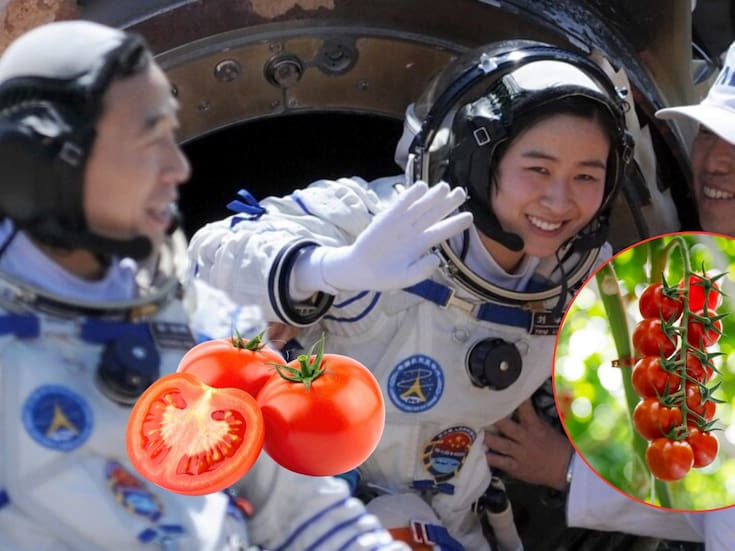 Astronautas chinos celebraron cosecha de tomates cultivados en el espacio tras más de 100 días en la estación Tiangong, informó China Media Group