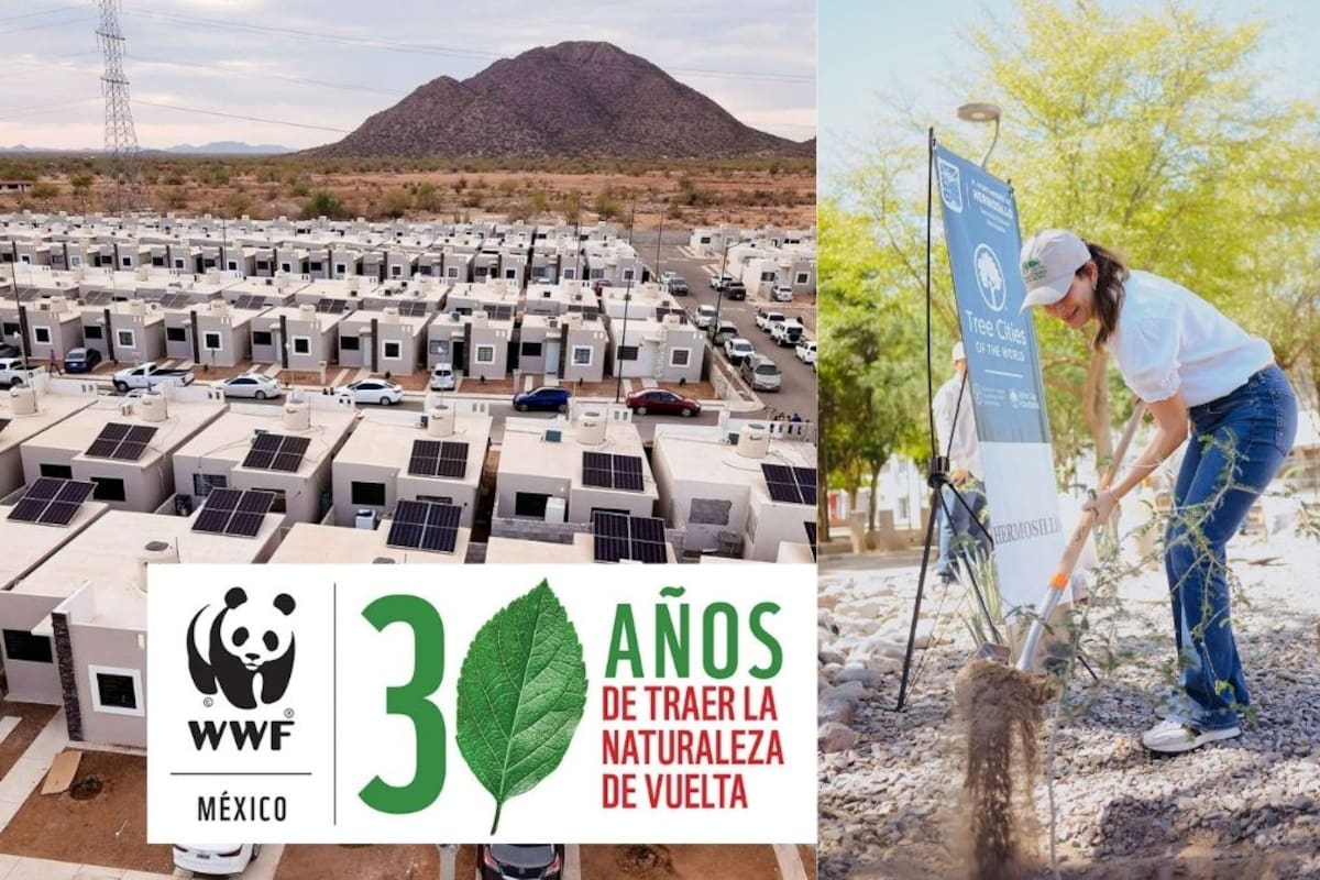 Hermosillo gana por segunda vez el Desafío de Ciudades de WWF por sus acciones contra el cambio climático