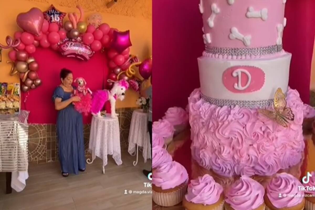 Viral: Le hacen fiesta de XV años a perrita