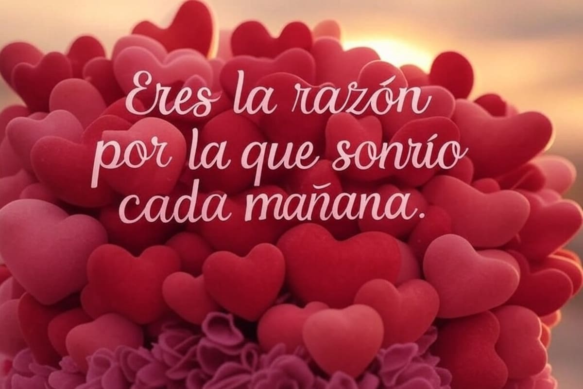 San Valentín: Frases cortas de amor y amistad para enviar este 14 de febrero