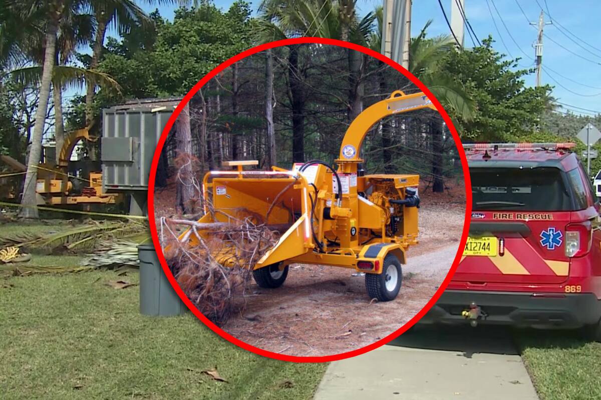 Jardinero mexicano murió decapitado en Florida; cayó en una trituradora de madera mientras podaba árboles