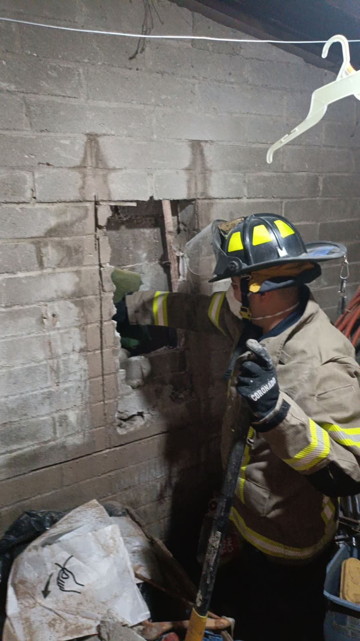 El animal fue atendido por un veterinario y entregado sano a su dueña. | Foto: Manuel Jiménez